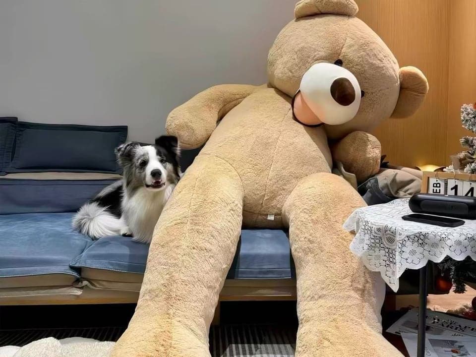 Peluche Gigante — Peluche personalizado gigante, compañeros de abrazo de tamaño grande, y juguetes de peluche de fantasía