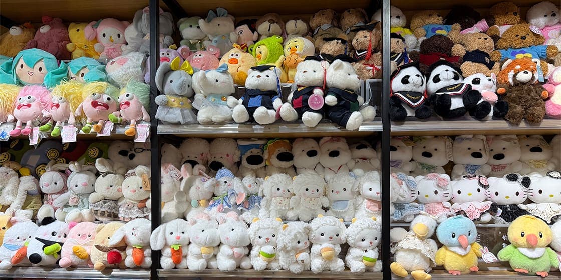 منطقة عرض غرفة العرض — StarDream Toys plush toy factory showroom